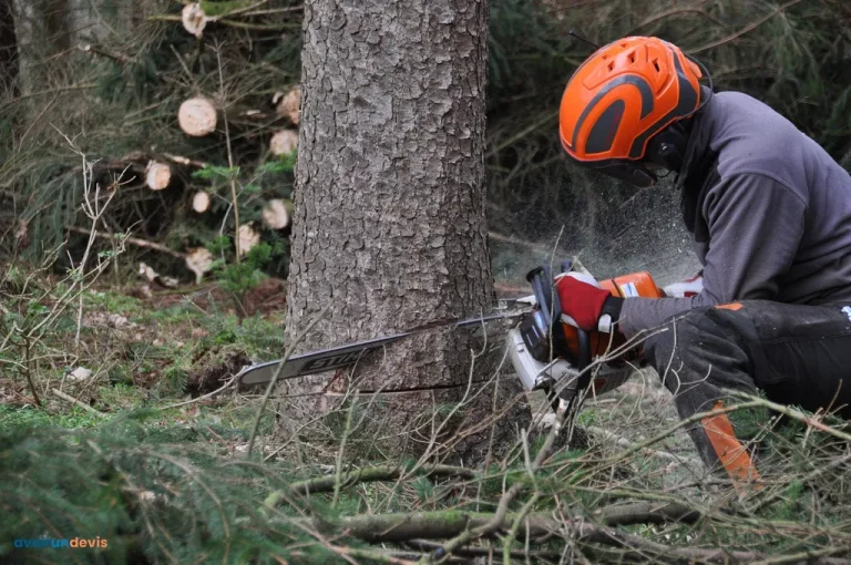 Un homme à la tronçonneuse en train d'abattre un arbre