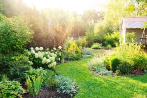 Un joli jardin avec une cabane.