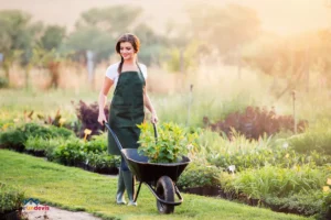 Une femme portant un tablier vert et des bottes en caoutchouc pousse une brouette avec des plantes à travers un jardin luxuriant dans la douce lueur du coucher de soleil.